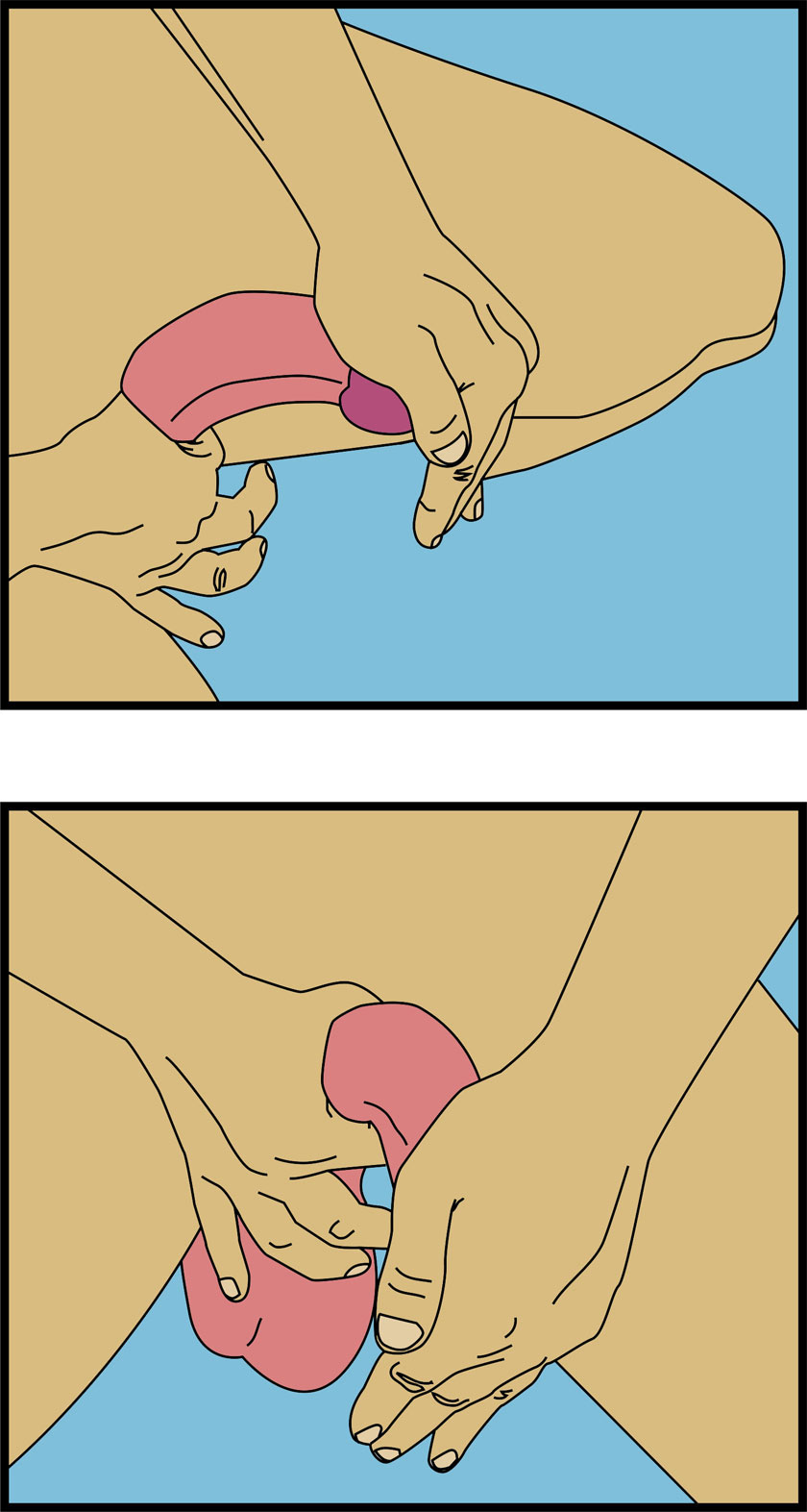 Technique du Jelq - Erection.fr